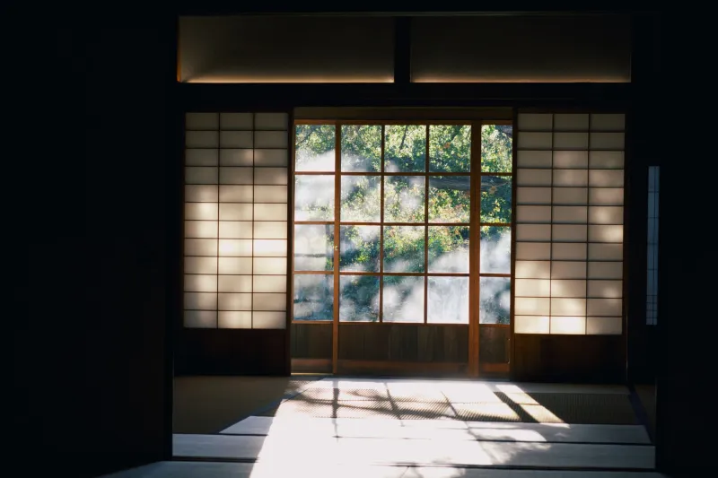 The Grammar of the Hidden: How Japanese Adult Cinema Builds Tension Through Strategic Absence