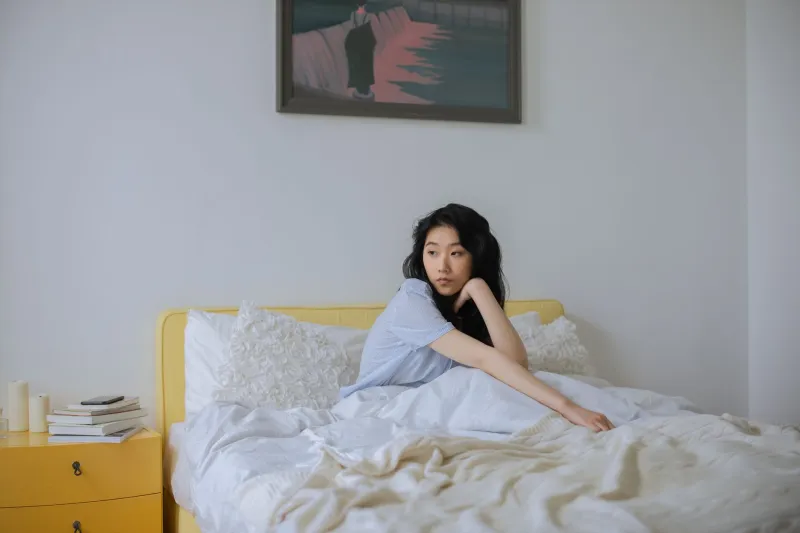 The Sovereign Self: How Japanese Adult Cinema Places Female Desire at the Center of Its Own Story