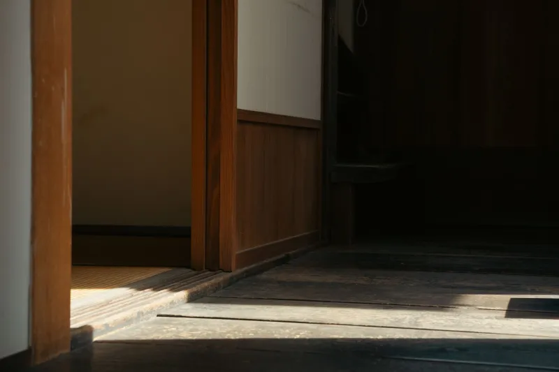 The Virtue of the Unpolished: How Japanese Adult Cinema's Aesthetic Honesty Disarms the American Viewer